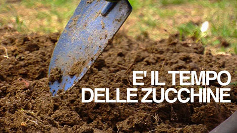 È il tempo delle zucchine, collettivo Trame Urbane