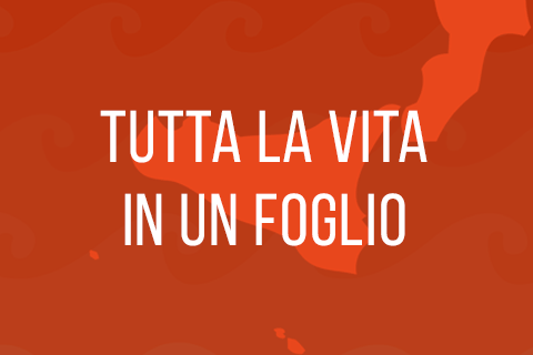 tutta-la-vita-in-un-foglio-thumbnail-3