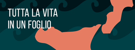 tutta-la-vita-in-un-foglio-thumbnail